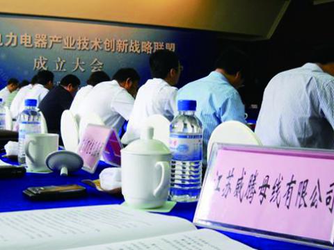 mg不朽情缘母线加入江苏省电力电器工业手艺立异战略同盟
